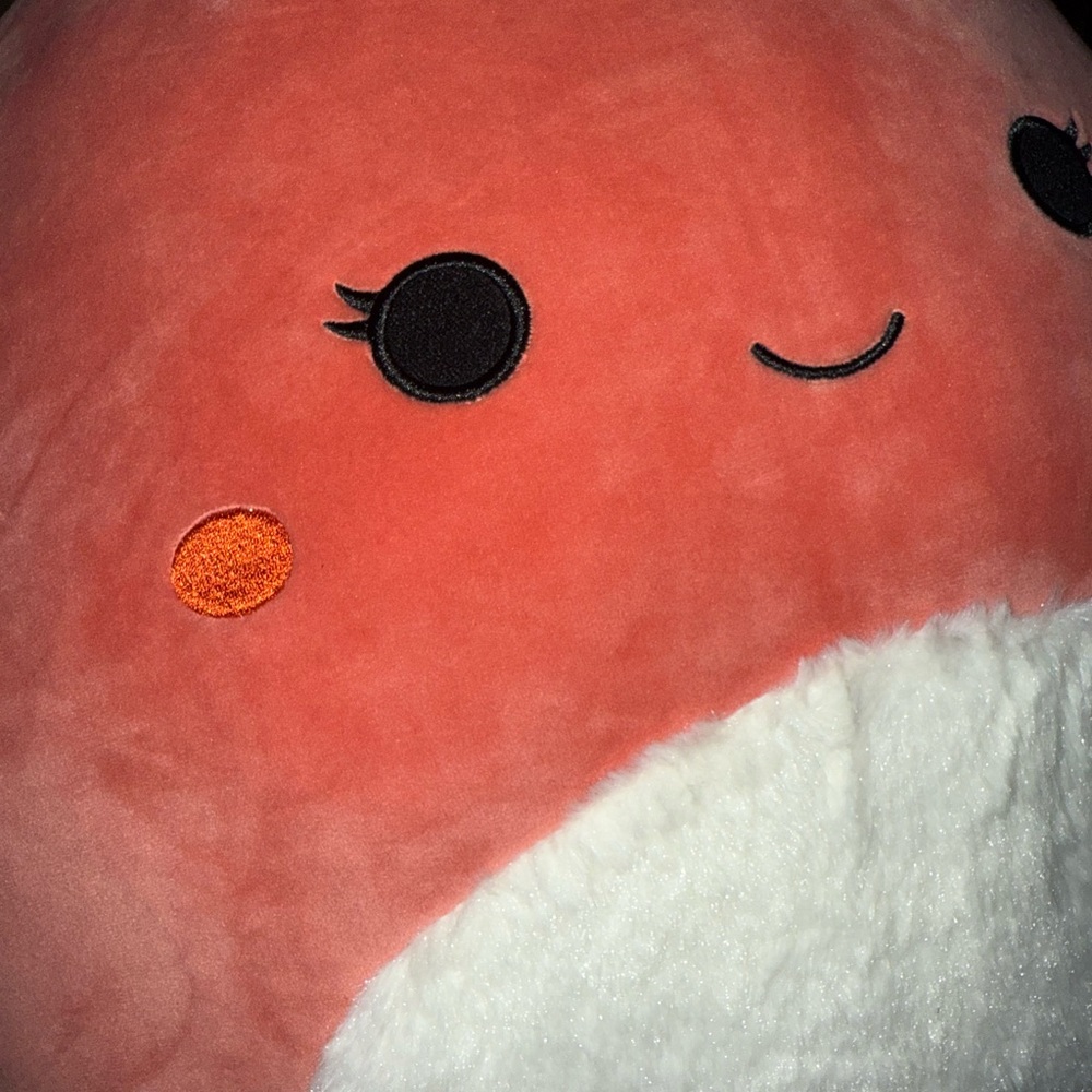 Kellytoy Squishmallows Mirren The Red Moth Large Plush 16" Rare Collectible NWT - Picture 11 of 14